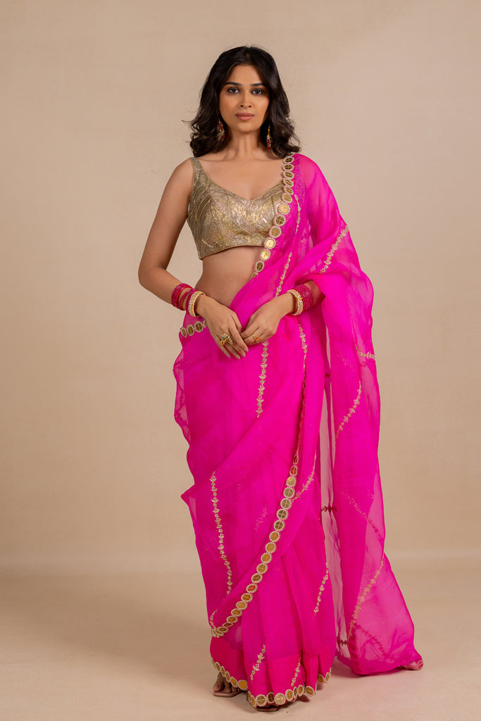 Organza Coin saree