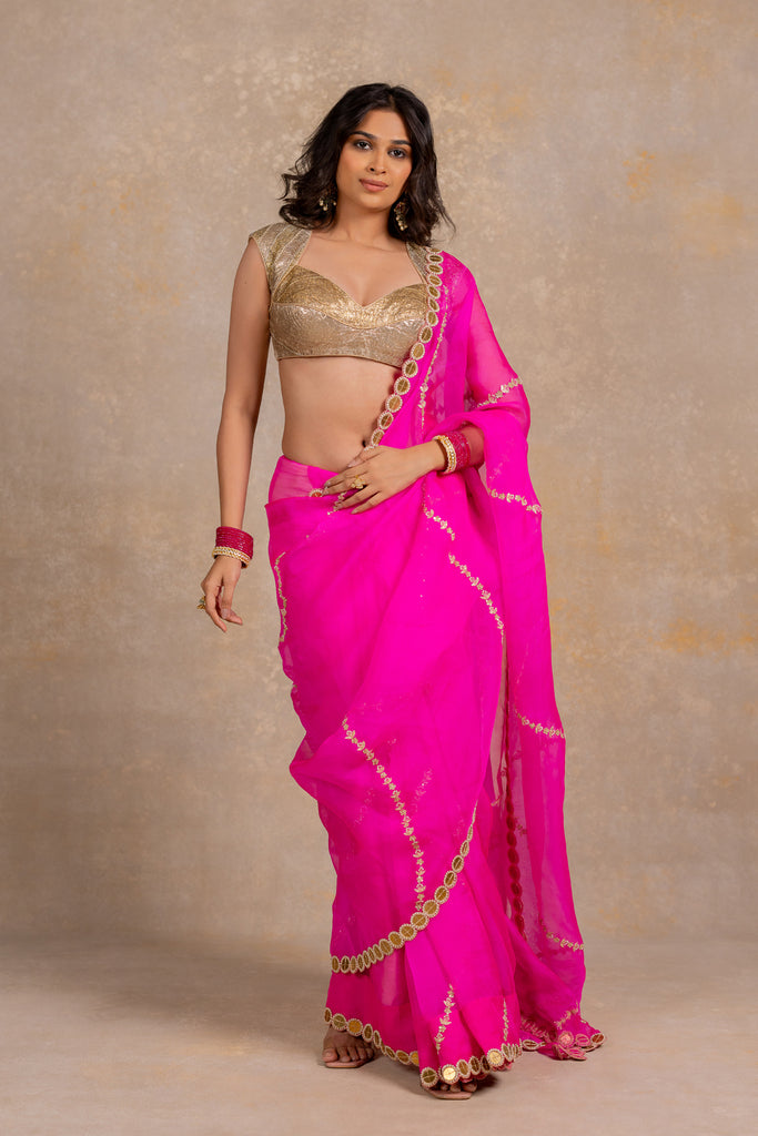 Organza Coin saree