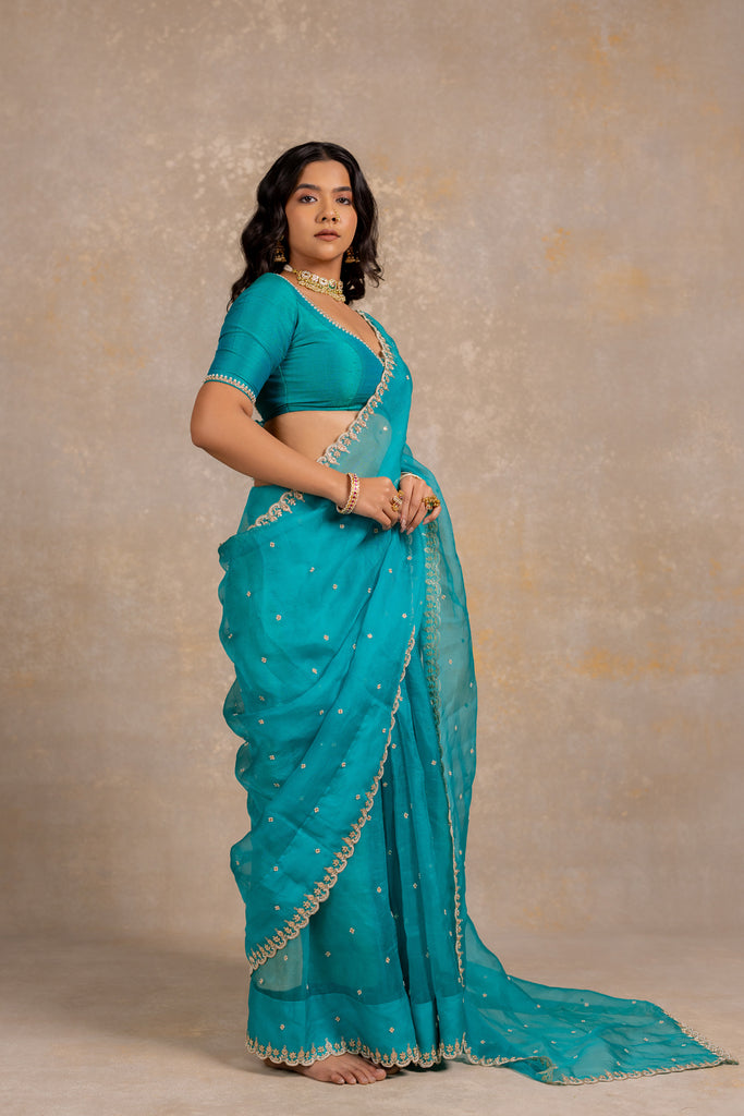 Organza Saree