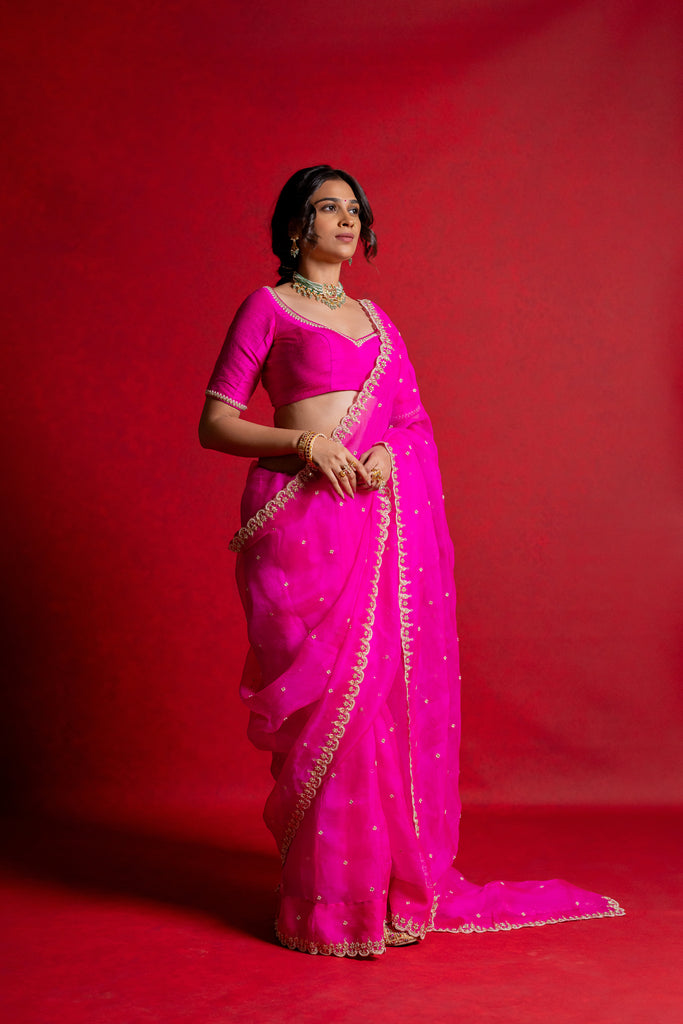 organza saree