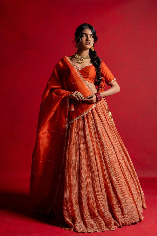 Tissue Lehenga Set