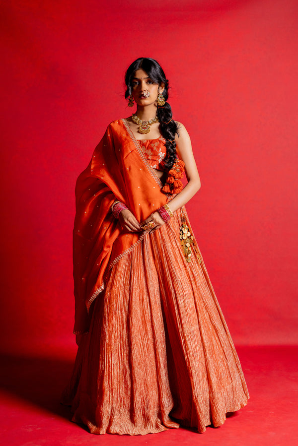 Tissue Lehenga Set