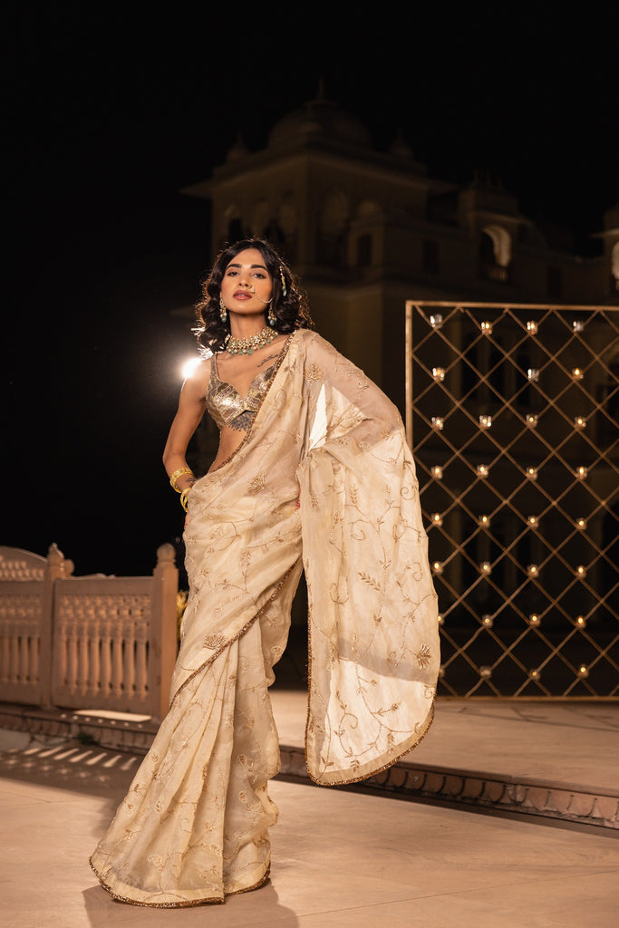 organza saree