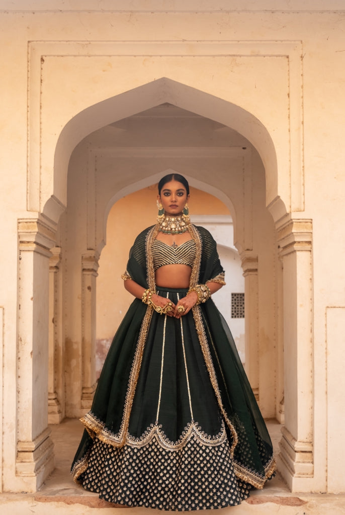 Hemagini lehenga set